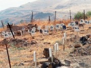 بالأسماء .. سلطات الاحتلال تحتجز جثامين 12 أسيرا