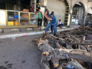 جمعية أصحاب المخابز: بدء توريد الدقيق إلى غزة الأسبوع المقبل