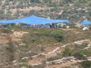 مستوطنون يُقيمون بؤرة استيطانية جديدة في أريحا