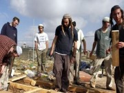 مستعمرون يعتدون على كرم عنب في بلدة الخضر جنوب بيت لحم