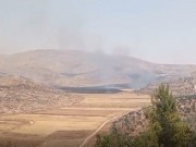 فيديو|| مستعمرون يحرقون مساحات من الأراضي المزروعة في بيت دجن شرق نابلس