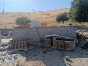 مستعمرون يسيجون مزيداً من الأراضي في الأغوار الشمالية