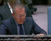 إلى متى تبقى جلسات مجلس الأمن بلا فعل.. والاحتلال بلا رادع؟