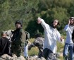 الاحتلال يحتجز مواطنا أثناء رعيه الماشية في الأغوار الشمالية
