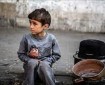 رئيس جمعية أصحاب المخابز: جميع المخابز وسط قطاع غزة توقفت عن العمل