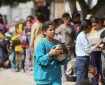 الأمم المتحدة: مواطنو غزة يواجهون مستويات عالية من انعدام الأمن الغذائي