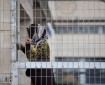 ارتفاع عدد الأسيرات في سجون الاحتلال إلى 29