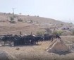 بالفيديو || مستوطنون يطلقون أغنامهم في قرية رأس عين العوجا