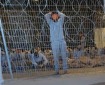 شهادات مروعة لأسرى من غزة في سجني النقب وعوفر