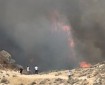 حريق ضخم في وادي القلط بين القدس وأريحا واستنفار لفرق الإنقاذ