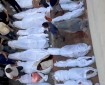 38 شهيدا وعشرات المصابين في قصف الاحتلال مناطق في غزة فجرا