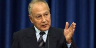 أبو الغيط: "صفقة ترامب" تشير إلى إهدار كبير لحقوق الفلسطينيين المشروعة