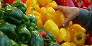 أسعار الخضروات واللحوم في أسواق غزة
