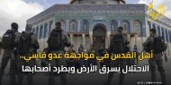 أهل القدس في مواجهة عدو قاسي.. الاحتلال يسرق الأرض ويطرد أصحابها