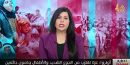 "غزة تقترب من الجوع الشديد".. تحذير صادم من وكالة الأونروا