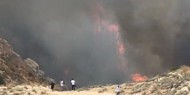 حريق ضخم في وادي القلط بين القدس وأريحا واستنفار لفرق الإنقاذ