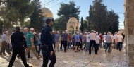عشرات المستوطنين يقتحمون الأقصى وسط حراسة مشددة