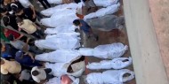 العالم ينتفض ضد جرائم الاحتلال في غزة
