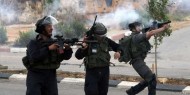 الخليل: الاحتلال يُمطر مدرسة بقنابل الغاز ووقوع إصابات في صفوف الطلبة