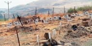 أبو جيش يحمل الاحتلال مسؤولية سرقة أعضاء شهداء مقابر الأرقام