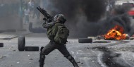 إصابة العشرات بالاختناق في مواجهات مع الاحتلال وسط الخليل