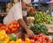 أسعار المنتجات الزراعية اليوم الثلاثاء في غزة