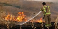 تركيا: ارتفاع عدد ضحايا حرائق الغابات إلى 4 وفيات