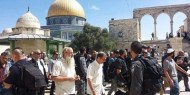 الاحتلال يؤجج المواجهات عبر تقييد دخول المصلين إلى الأقصى في رمضان