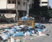 بلدية غزة تحذر من خطورة انتشار الأمراض نتيجة تزايد الحشرات الضارة